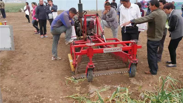 小型蜜柚app污无限制观看版下载播种机